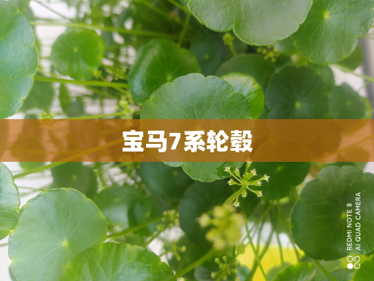 宝马7系轮毂