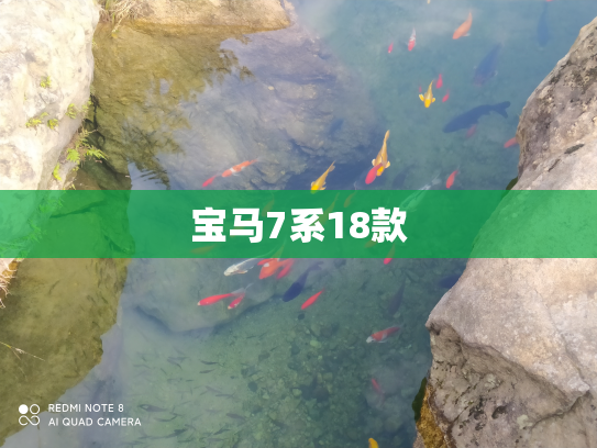 宝马7系18款