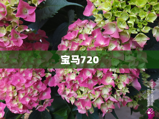 宝马720