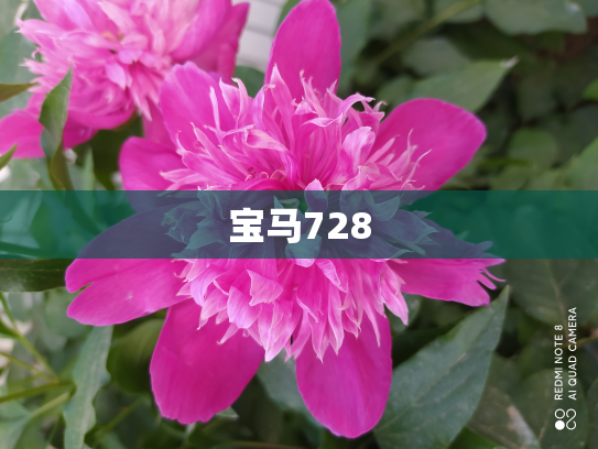 宝马728