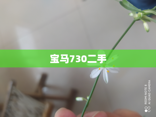 宝马730二手