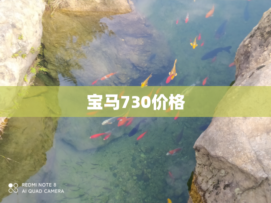 宝马730价格