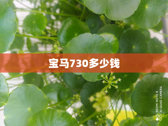 宝马730多少钱