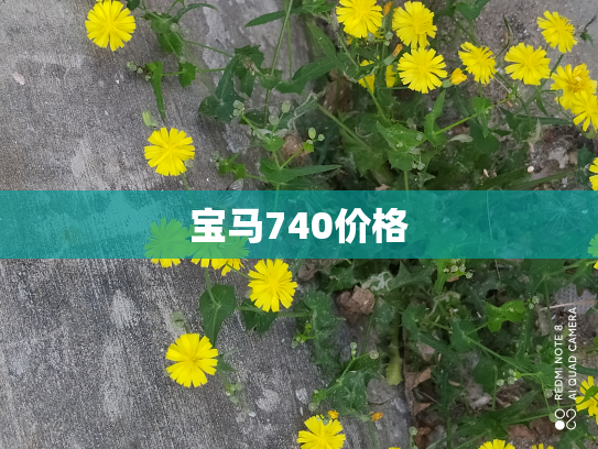 宝马740价格