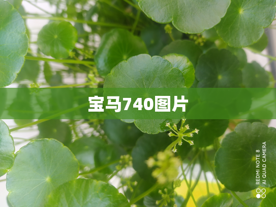 宝马740图片