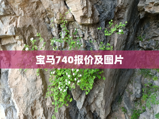 宝马740报价及图片