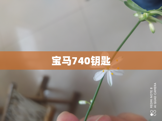 宝马740钥匙