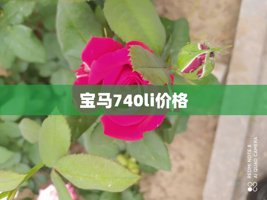 宝马740li价格