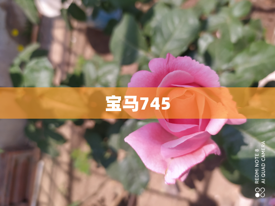 宝马745