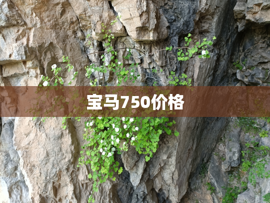 宝马750价格
