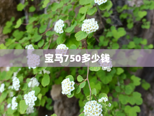 宝马750多少钱