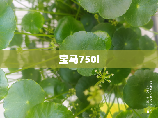 宝马750i