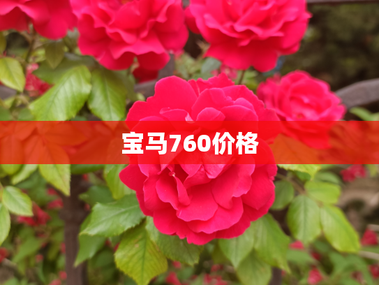 宝马760价格