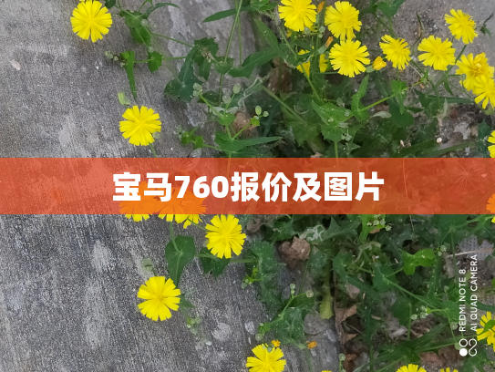 宝马760报价及图片