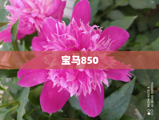 宝马850