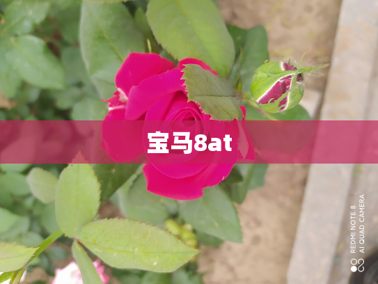 宝马8at