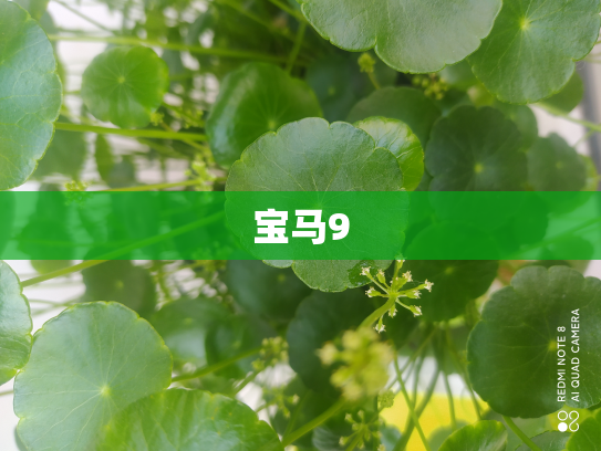 宝马9