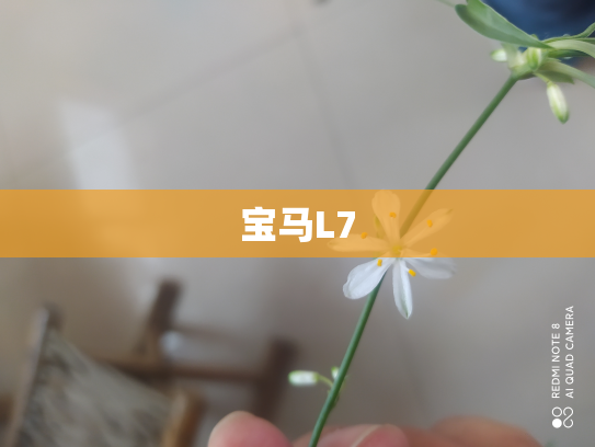 宝马L7