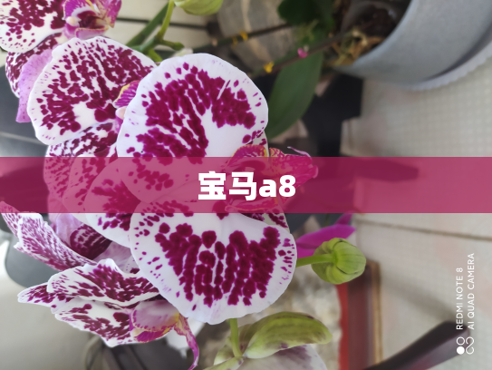 宝马a8