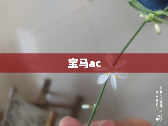 宝马ac