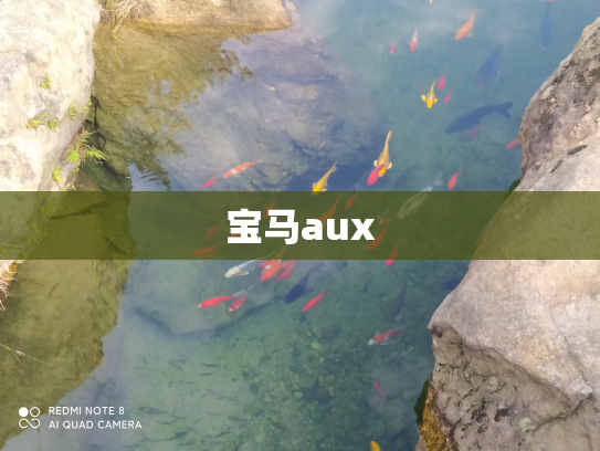 宝马aux