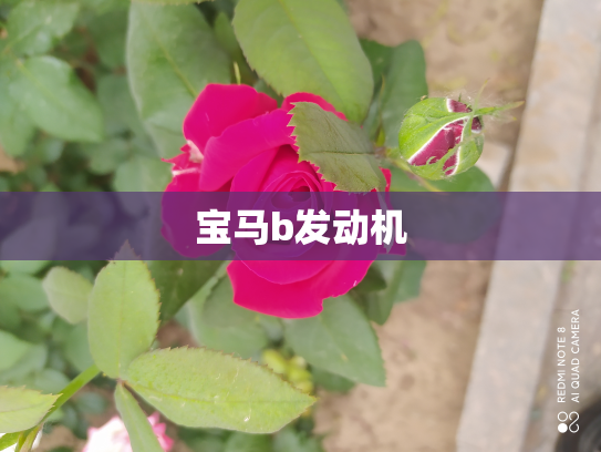 宝马b发动机