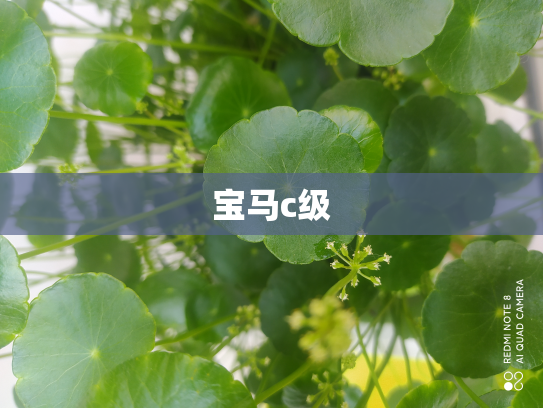 宝马c级