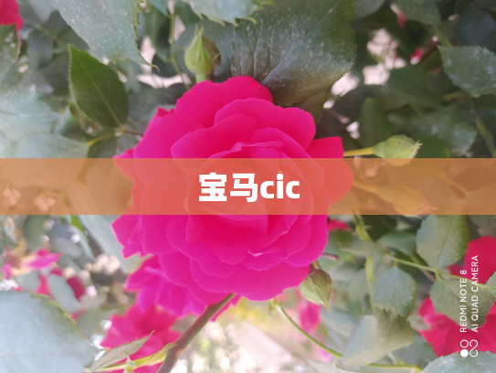 宝马cic