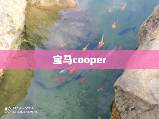 宝马cooper