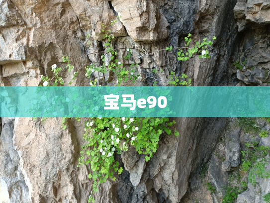 宝马e90