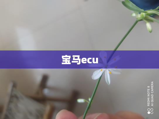 宝马ecu