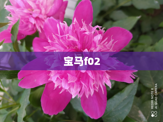 宝马f02