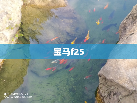宝马f25
