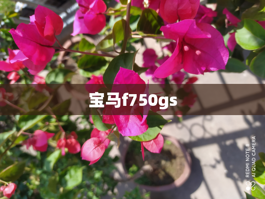 宝马f750gs