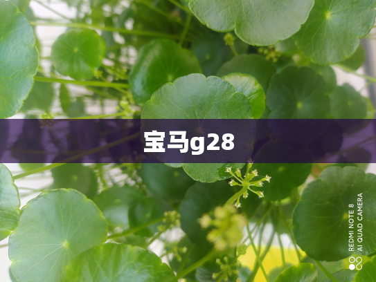 宝马g28