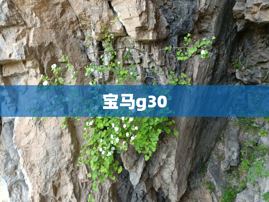 宝马g30