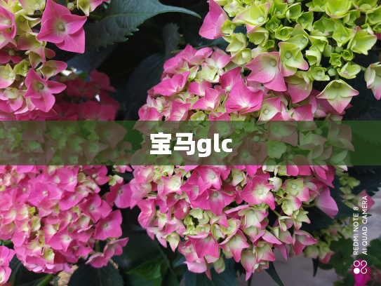 宝马glc