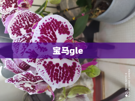 宝马gle