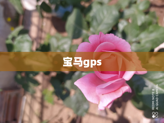 宝马gps