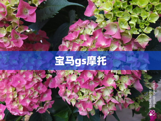 宝马gs摩托