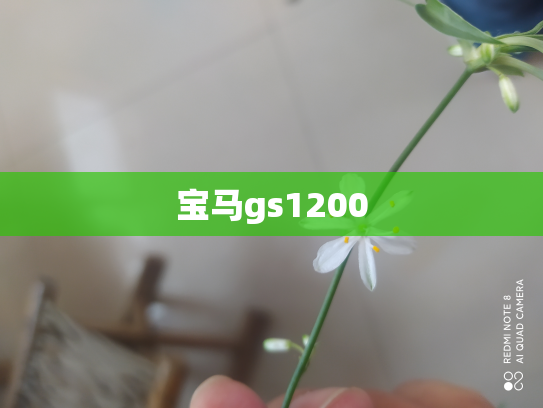 宝马gs1200