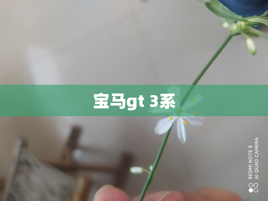宝马gt 3系