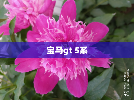 宝马gt 5系