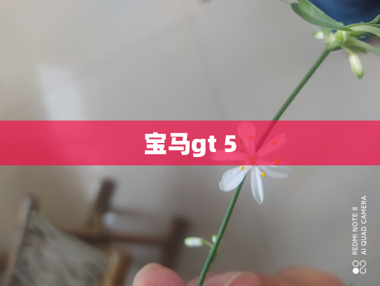宝马gt 5