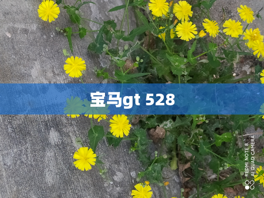 宝马gt 528