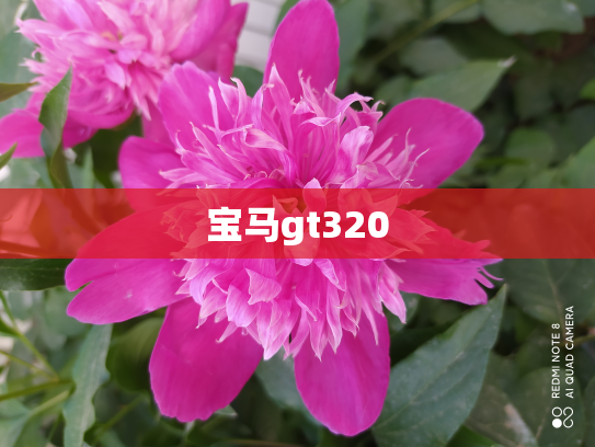 宝马gt320