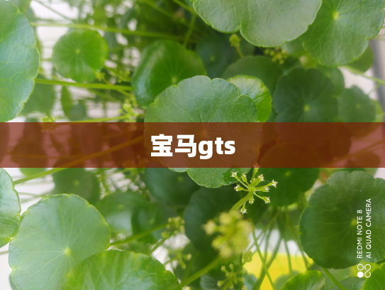 宝马gts