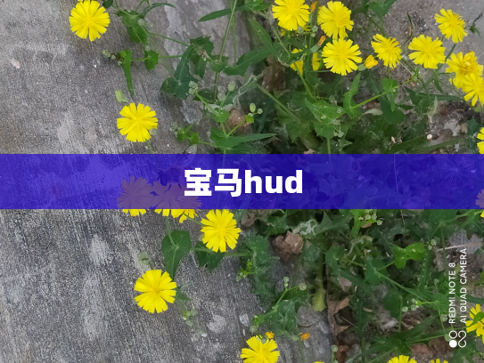 宝马hud