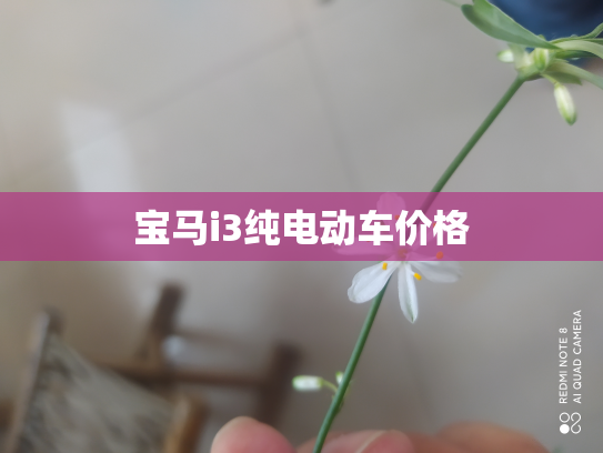 宝马i3纯电动车价格
