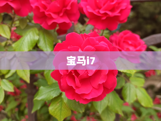宝马i7